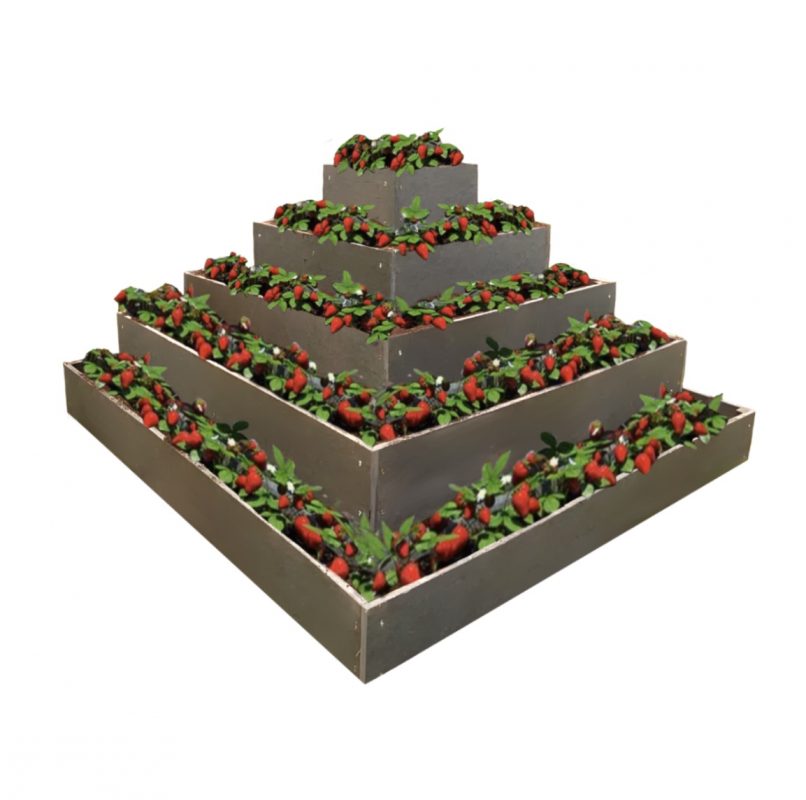 Plastovy Jahodnik Pyramida () Plastovy Jahodnik Pyramida