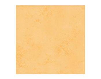 Foto - RAKO TULIP GAT3B194