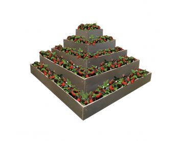 Foto - TRANSFORM Pyramida na jahody 2x2x1 m, S