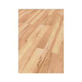 Laminátová podlaha EUROWOOD STAR - Javor CARELIA 437, WG